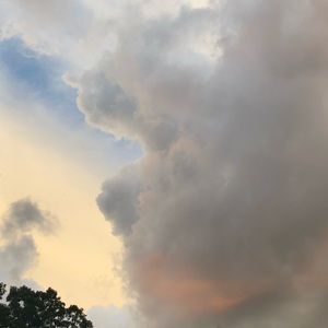 Meet your Posher, Shayla